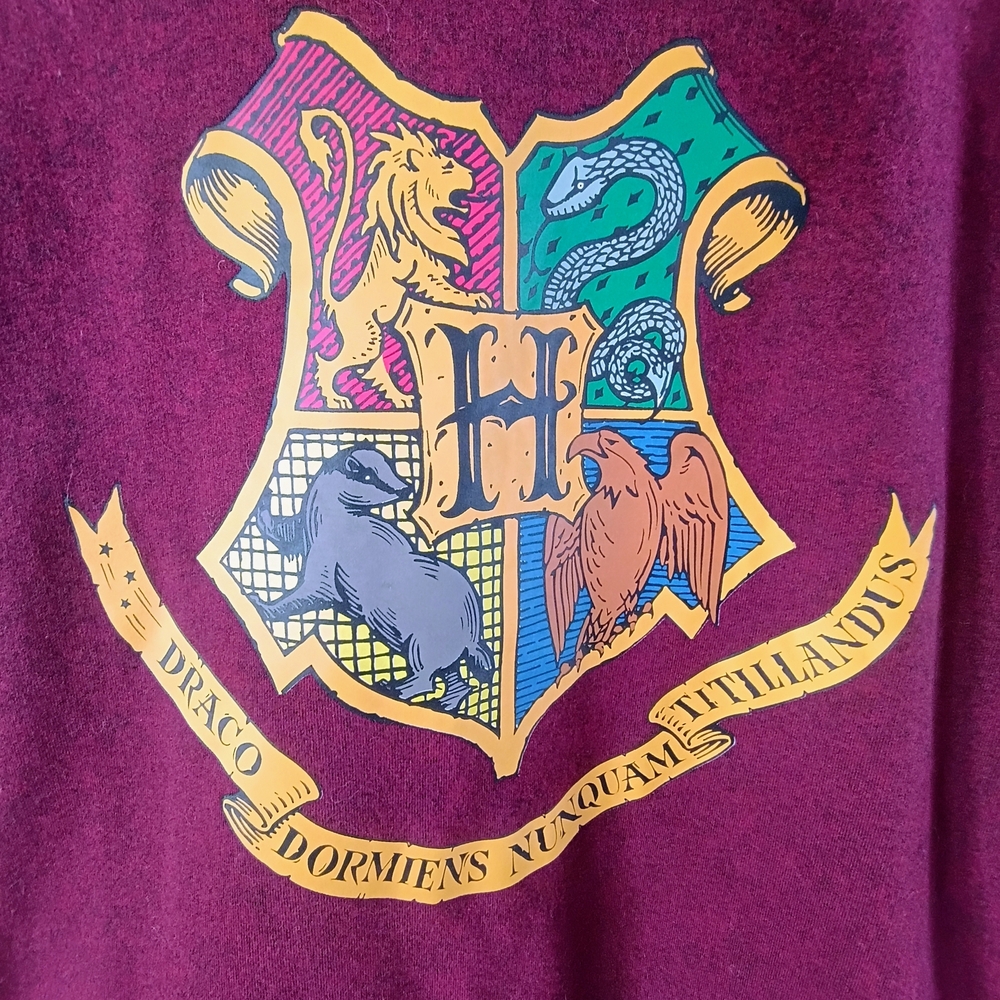 Harry Potter Hogwarts Crest Burgundy Hoodie Spell Out Back XXL Unisex - Picture 2 of 7